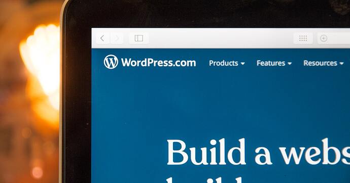 web design theme modern cms