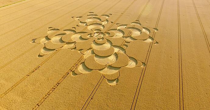 crop circle field pattern aerial
