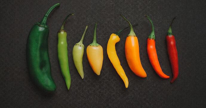 seedling grow light peppers