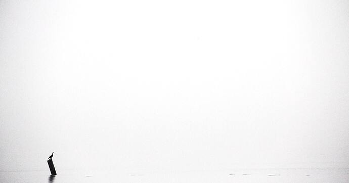 person silhouette against white background digital art