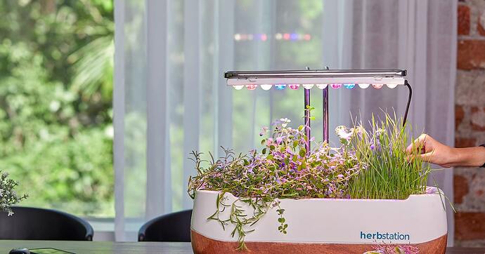 seedlings grow lights indoor gardening