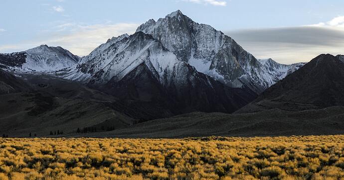 mountain-dew