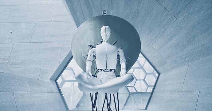 Humanoid robot